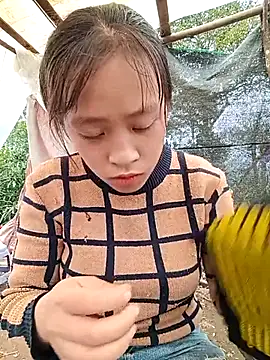 Hari-saka online show from February 24, 2026, 3:04 am