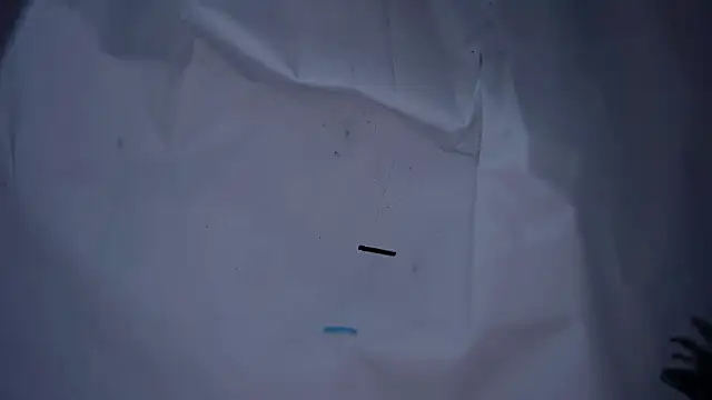 lx667788 online show from January 16, 2026, 3:27 pm