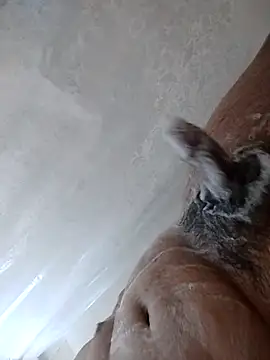 Snapshot of daringprince chatting on January 17, 2026, 6:22 pm daringprince online show from January 17, 2026, 6:22 pm