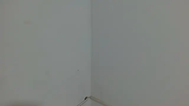 princess1609 online show from March 4, 2026, 1:17 pm