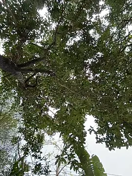 IceMur online show from February 23, 2026, 3:04 am