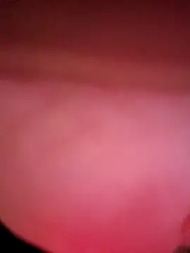 IndorsedTimid online show from April 5, 2026, 11:46 pm