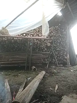 cutebobi online show from February 3, 2026, 6:40 am