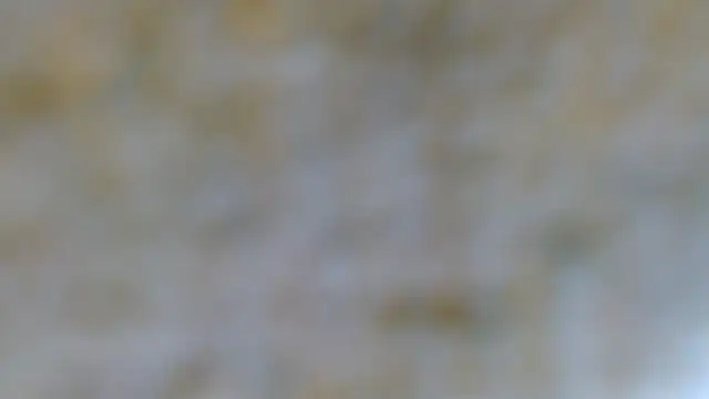 EVAN TAY online show from February 7, 2026, 7:17 pm