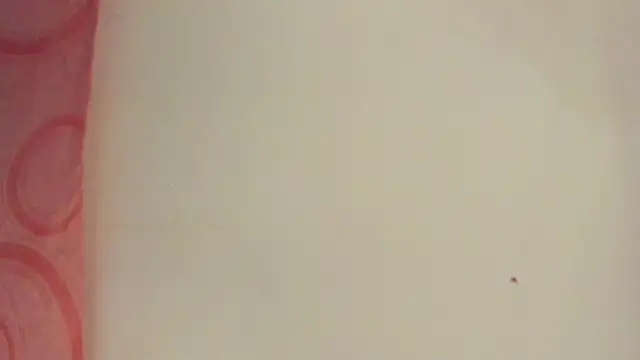 Melanie  Evans online show from May 15, 2026, 10:55 am