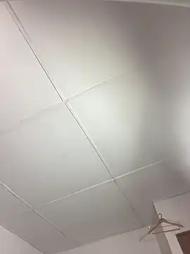 vanilla Kush online show from March 11, 2026, 8:09 am