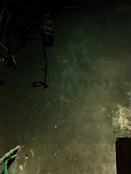 Hoa-tuylip online show from February 13, 2026, 1:29 pm