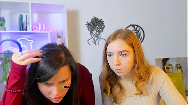 stella flower online show from February 13, 2026, 12:34 pm