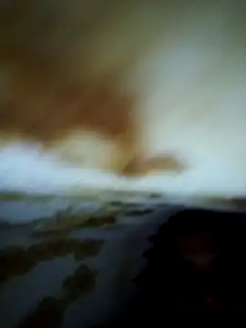 Alone b0 online show from February 1, 2026, 5:55 pm