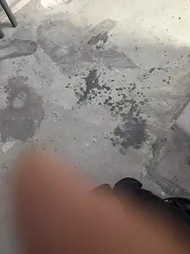 Wvpppp online show from February 24, 2026, 8:23 am