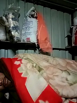 Krishna-10 online show from February 5, 2026, 5:17 pm