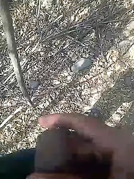 Cute Boy 4 online show from February 23, 2026, 8:01 am