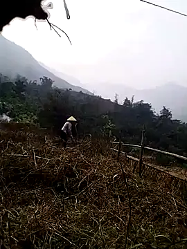 Tina-beo online show from March 27, 2026, 9:42 am