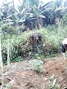 Tina-beo online show from April 18, 2026, 8:18 am