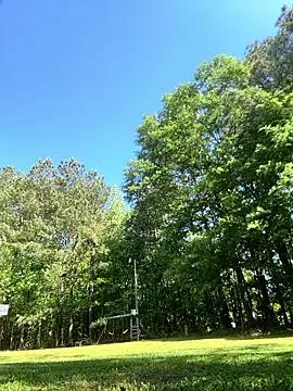 magic man1085 online show from April 18, 2026, 2:54 pm