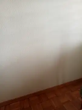 baipal74 online show from February 19, 2026, 12:45 pm