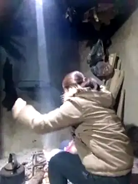 maimai1100 online show from February 3, 2026, 12:42 am