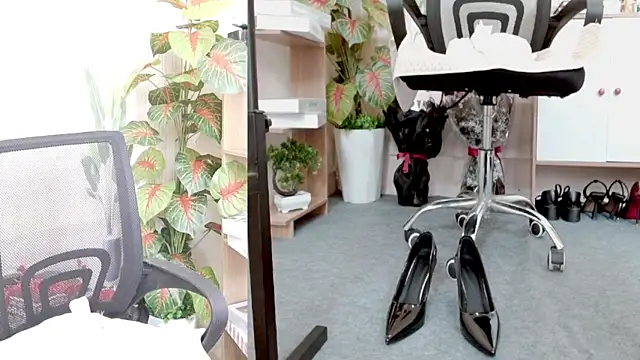 Zinna999 online show from March 7, 2026, 6:32 am