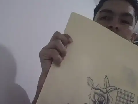 placerverdadero online show from February 11, 2026, 4:17 am