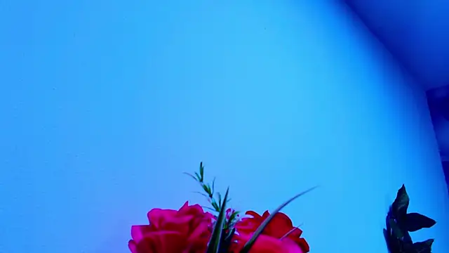Snapshot of lil_miia chatting on June 5, 2026, 7:08 pm lil miia online show from June 5, 2026, 7:08 pm