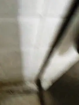 Gordinho dos pes online show from March 20, 2026, 3:33 am