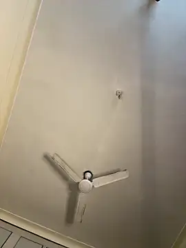 torchermachine online show from April 8, 2026, 8:20 pm