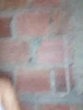 lachiki plus online show from March 24, 2026, 10:31 am