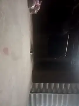 cuunon11 online show from March 3, 2026, 12:44 pm