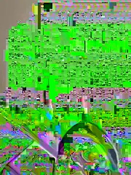 Snapshot of pussyeater_- chatting on August 7, 2026, 6:37 am pussyeater - online show from August 7, 2026, 6:37 am