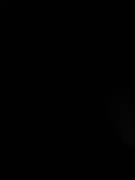 stallone italiano 62 online show from March 1, 2026, 5:31 am