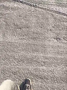 stallone italiano 62 online show from March 23, 2026, 7:23 am