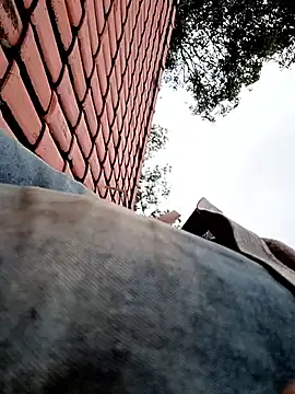 nego5628 online show from April 1, 2026, 12:06 pm