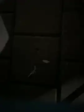 Snapshot of Darkhotcouple chatting on February 14, 2026, 9:22 pm Darkhotcouple online show from February 14, 2026, 9:22 pm