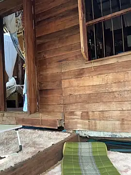 Snapshot of fairy_bell chatting on March 5, 2026, 5:36 am fairy bell online show from March 5, 2026, 5:36 am