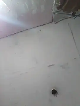 cobrosdepagos online show from April 11, 2026, 4:17 am