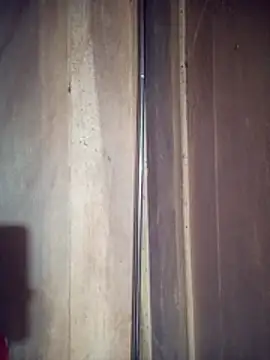 toyo 668 online show from April 18, 2026, 11:36 am