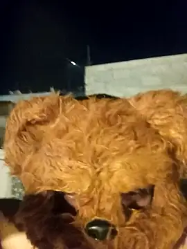 Chondo79 online show from March 27, 2026, 7:03 am