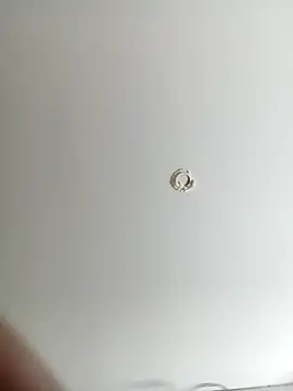 ladyyhardcore online show from February 19, 2026, 12:50 am