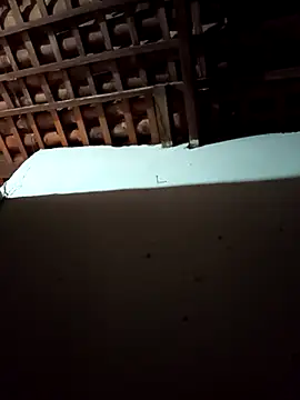 mykasantos20 online show from February 14, 2026, 4:53 am