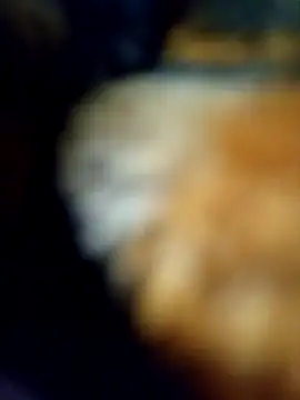 Avinh 09 online show from February 15, 2026, 5:20 pm