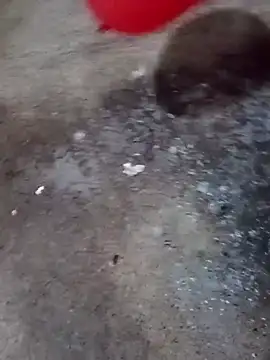 gonzalez1018 online show from April 27, 2026, 2:15 pm