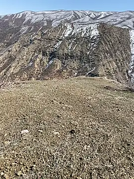 TurkeyMen online show from March 3, 2026, 10:10 am