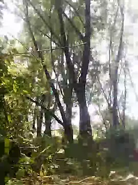 Snapshot of marti_8 chatting on May 23, 2026, 12:31 pm marti 8 online show from May 23, 2026, 12:31 pm