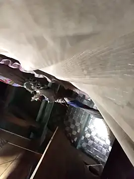 Big-all012 online show from February 23, 2026, 9:50 am