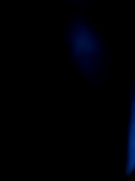 AppleMiel online show from March 8, 2026, 3:10 am