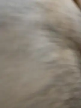 horny boy 45 online show from April 23, 2026, 4:20 pm