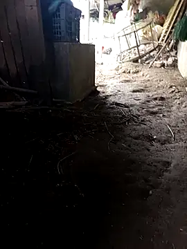 hungdecu online show from March 5, 2026, 2:51 am