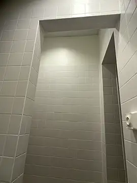 WhiteRose2020 online show from February 26, 2026, 5:50 am