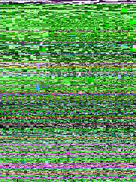 Snapshot of D_SnowL chatting on July 10, 2026, 7:49 pm D SnowL online show from July 10, 2026, 7:49 pm