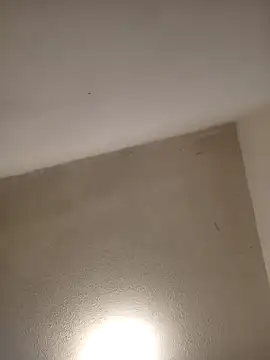 priscilaf online show from April 7, 2026, 9:43 am